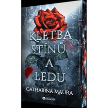 Kletba stínů a ledu