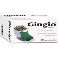 Gingio tablety tbl.flm.90 x 40 mg
