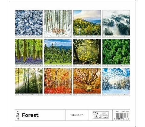 Forest 2027