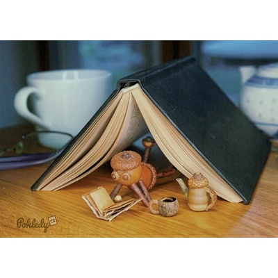 Pohlednice Dubánek s knihou pod knihou – Hledejceny.cz