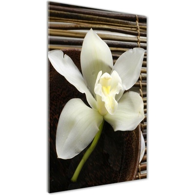 Vertikálny foto obraz sklenený Orchidea 50x100 cm