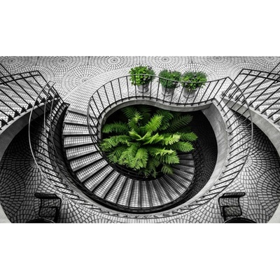 Bondecor Obraz tisk na plátno, 70x110 cm, 1-Trendy