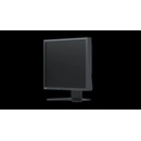 Eizo FlexScan S1934H