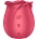 Satisfyer Pro 2 Classic Blossom