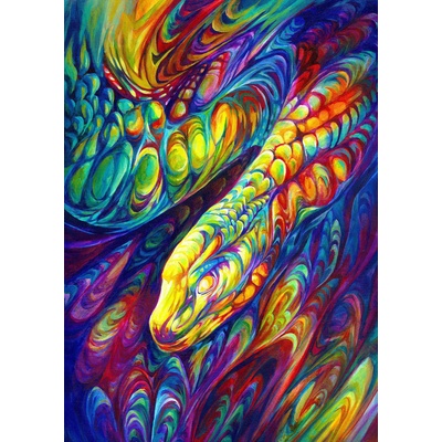 Enjoy - Puzzle Rainbow Snake - 1 000 piese