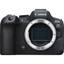 Image 1 of Canon EOS R6 Mark II (5666C031AA)