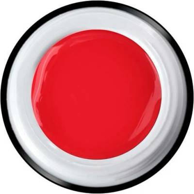 Laif One Stroke Uv Led gel Exclusive 101 ariete 6 ml
