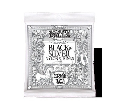 Ernie Ball 2406
