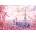 Dino - Puzzle Eiffel Tower in pink - 500 piese