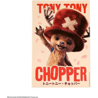 Moriarty Art Project Hliníková cedule Tony Tony Chopper, One Piece