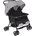 Graco DuoRider