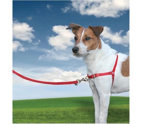 PetSafe Easy Walk Harness