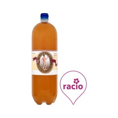 Stevikom Kombucha černý čaj 2 l – Zboží Mobilmania