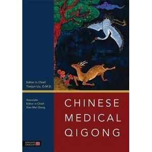 Chinese Medical Qigong | O Tianjun Liu (2013)
