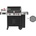 Weber Genesis II EX-335 GBS WB