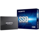 Gigabyte 256GB, SSD, GP-GSTFS31256GTND