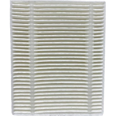 Roidmi EVE CC Hepa filter
