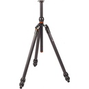 3 Legged Thing Winston