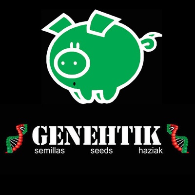 Genehtik Zuri Widow semena neobsahují THC 5 ks