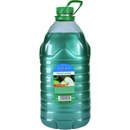 Vione tekuté mýdlo čiré zelené Jablko 5 l