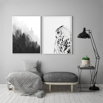 Image 1 of Decono Картини Бухал в Черно и Бяло