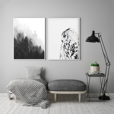 Decono Картини Бухал в Черно и Бяло
