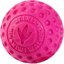 Kiwi Walker Plávajúca loptička z TPR peny ružová 9 cm