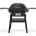 Weber Q 2200N