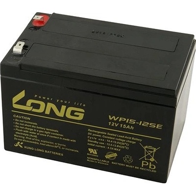 Long 12V 15Ah PBLO-12V015-F2AD