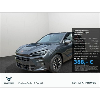 Cupra Terramar 1.5 eTSI DSG 110 kW