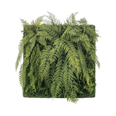 Umelá zelená stena Fern mix papraď 100x100x40 cm