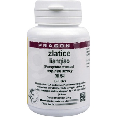 Sinecura Zlatice lianqiao extrakt prášek 20 g