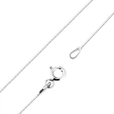 Šperky eshop Rhodiovaný zlatý řetízek hladký hadí vzor S3GG98.24