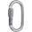 Camp Oval Pro Lock Цвят: сребърен
