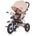 Chipolino Bolide