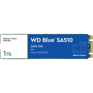 Western Digital Blue SA510 1TB M.2 (WDS100T3B0B)