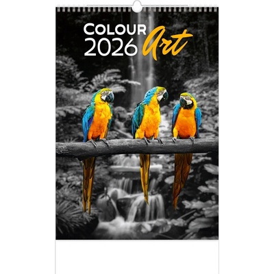 Colour Art nástěnný 2026