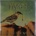 Dvkes - Push Trough LP