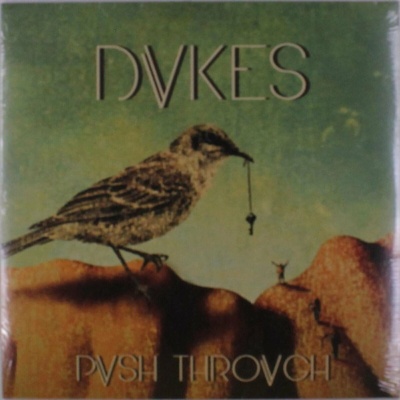 Dvkes - Push Trough LP