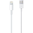 Forever DATAPIP5TFOWH1 Dátový TFO pre Apple iPhone 5, bílý