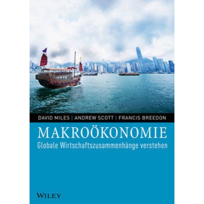 Makroökonomie. Globale Wirtschaftszusammenhänge verstehen - Miles, David