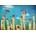Magnolia - Puzzle Dancing Town - 1 000 piese