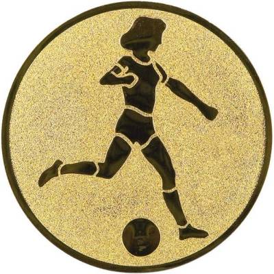 0330 Emblém fotbal