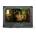 Desview D21 Pro