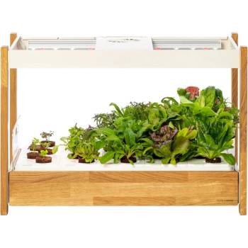 Click & Grow Смарт саксия Click and Grow - Smart Garden 25, бяла (CG25WMAINSG)