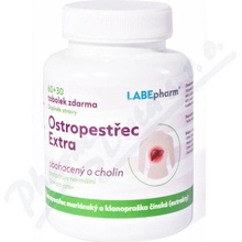 Labe Pharm Ostropestřec EXTRA s cholinem 60+30 tablet