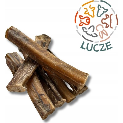 Lucze Hovězí penisy 12 cm sušené přírodní kousátko 500 g – Zbozi.Blesk.cz