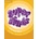 Super Minds 5 Class CDs 3