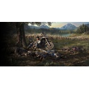 Days Gone