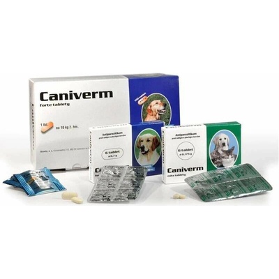 Caniverm forte tbl. 100 x 0.7 g